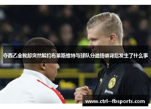 夺西乙金靴却突然解约布莱斯维特与球队分道扬镳背后发生了什么事 夺西乙金靴却突然解约布莱斯维特与球队分道扬镳背后发生了什么事