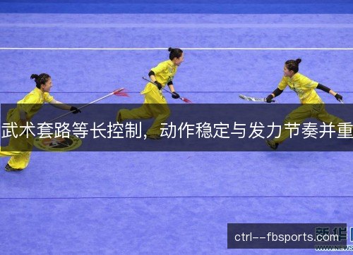 武术套路等长控制，动作稳定与发力节奏并重